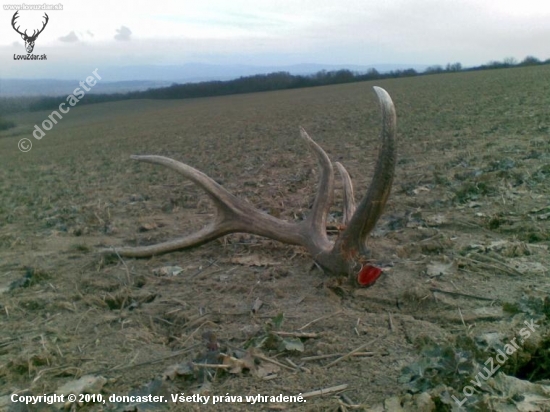 Takto ma čakal môj prvý zhod v živote