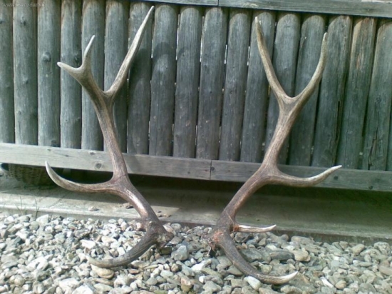 o pár minút na to...