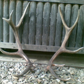 o pár minút na to...