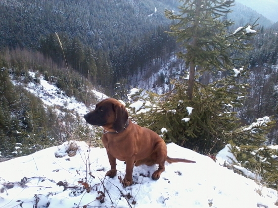 Ale som si našiel výhľad gazdíčko ....