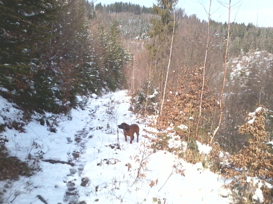 Kde len tá zverina môže byť....