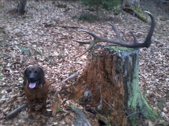 Neviem čo môže byť krajšie ......