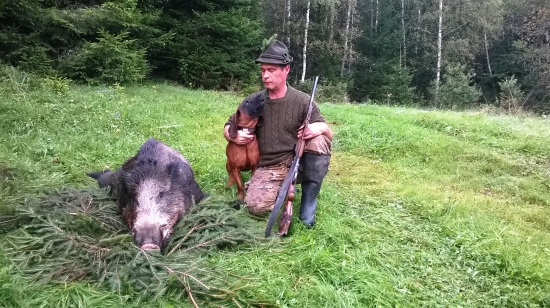 Prečo som nemusel dohladávať gazdíčko .....