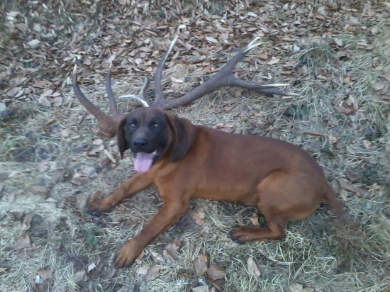 Konečne sa aj nám zadarilo ......