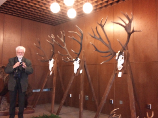 Chov. výstava Hriňová