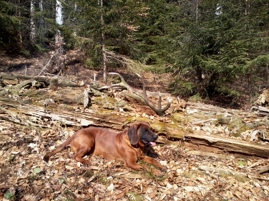 Prechádzka s pekným darčekom