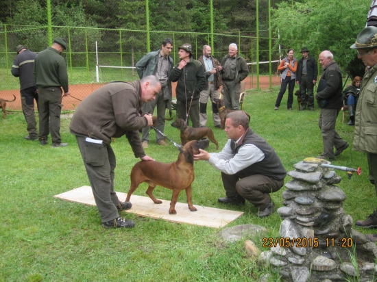 chovný zvod FARBIAROV