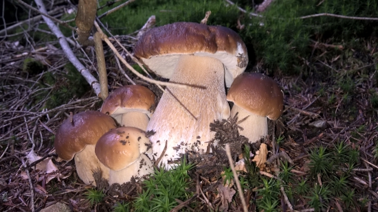 Aj takéto sa našli...