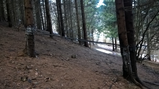 Debilizmus nepozná hraníc...