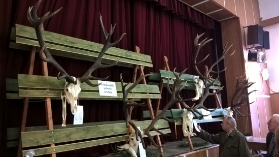 5 kráľov z D. Mičinej