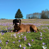 Taká ozaj jarná....