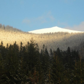 Orlová