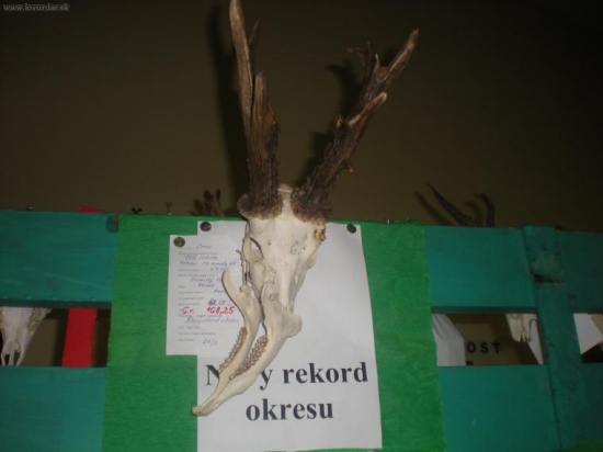 Z chovateľskej prehliadky