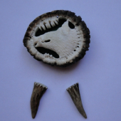 Môj pokus.