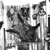 Výstava v našom kulturnom dome  roku 1974