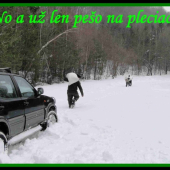 Zakrmovanie