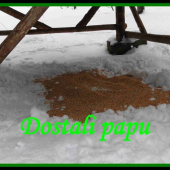 Dostali papu .