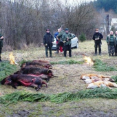 Výsledok spoločnej poľovačky