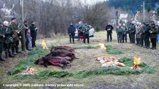 Výsledok spoločnej poľovačky