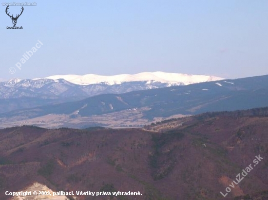 Uhádnite