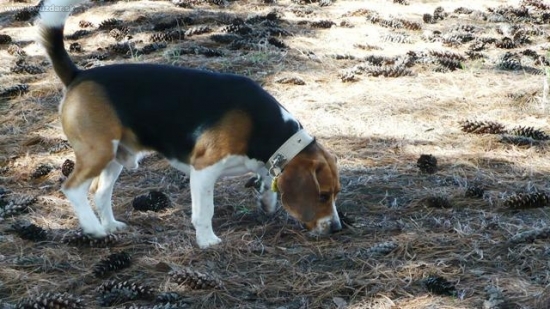Mám stopu gazda.....!!!