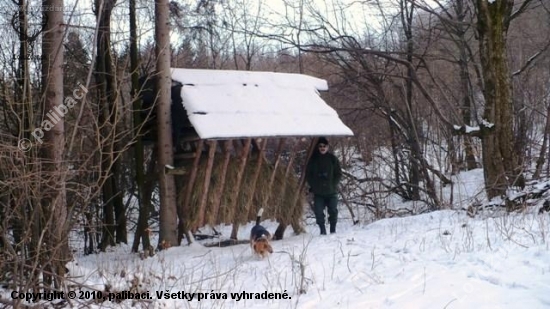 Kontrola krmelca berú som spokojný