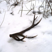 Zhod z minuleho roka