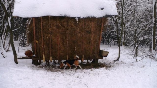 Neboj já to len skontrolujem?