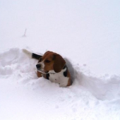 Nie je toho snehu veľa?