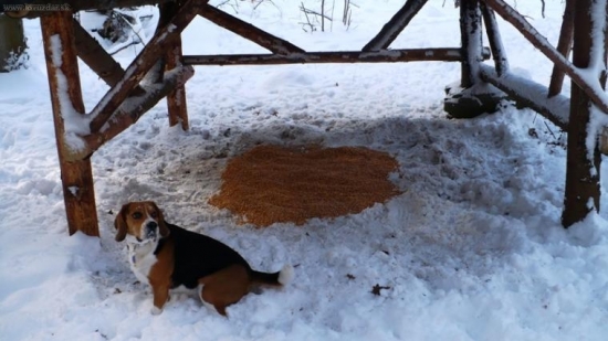 A to im dáš len tak málo?