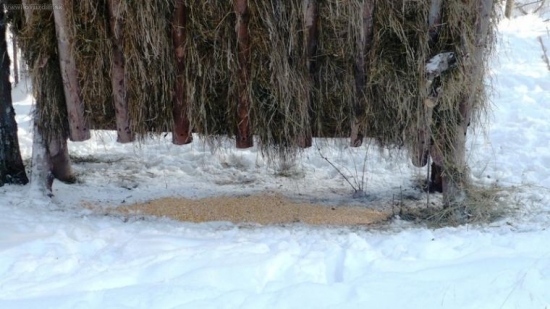 Nech sa majú lepšie.