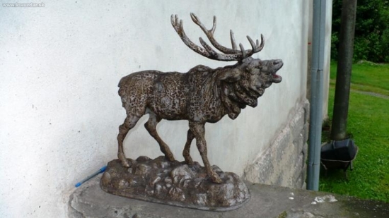 Kamošov jeleň za domom.