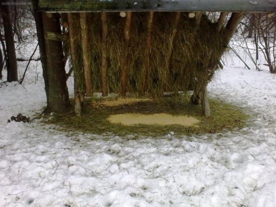 Dnešné zakrmovanie