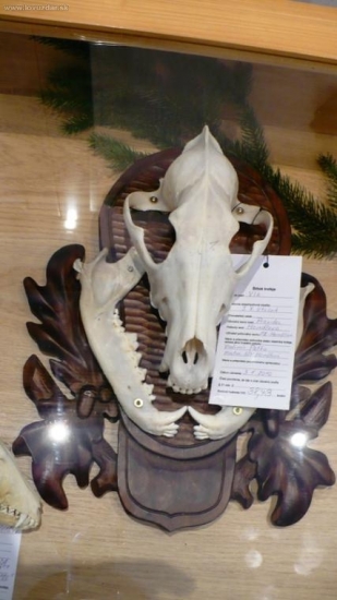 Chovateľská OkO-SPZ Prievidza