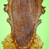 Podložka