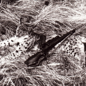 Spomienka
