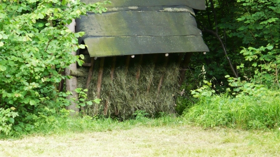 Takto bol krmelec naplnený.30.6.2010.