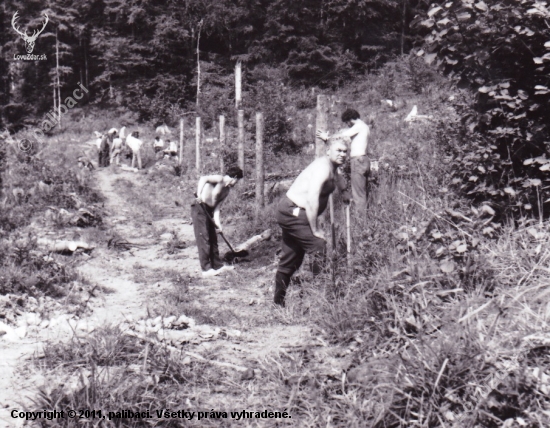 Brigáda pre Štátne lesy r.1975