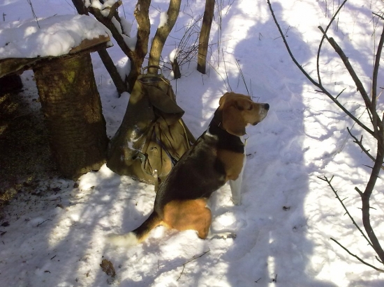 No a dnes sme ím zas dali papu.