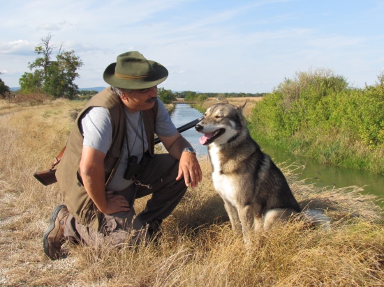 Západosibírska lajka Indy