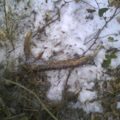 Môj prvý zhod najdený tohto roku