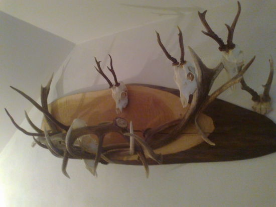 niečo z mojich kuskou