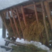 prikrmovanie