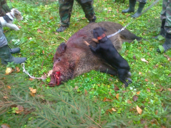 SPOMIENKA