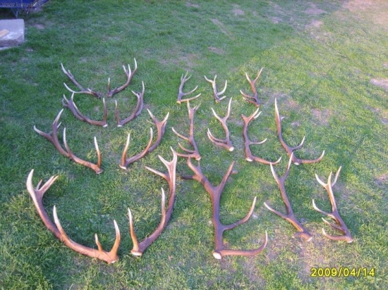 zatial tohtoročna zbierka