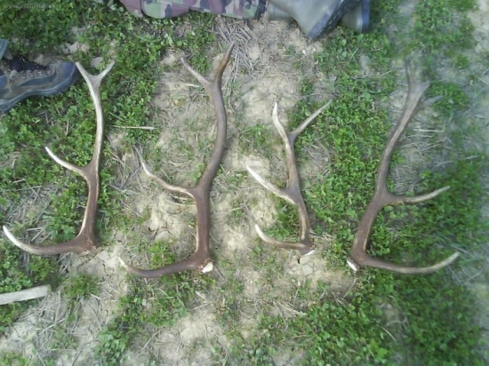 dnesna poobednajsia prechadzka