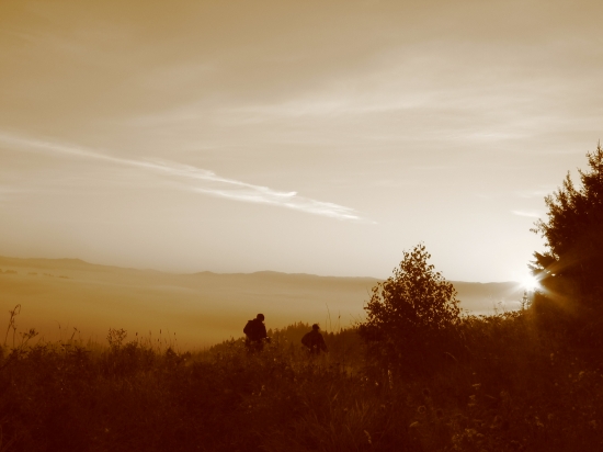 po jeleních chodníčkoch....