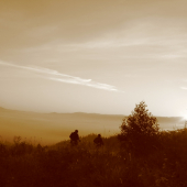 po jeleních chodníčkoch....