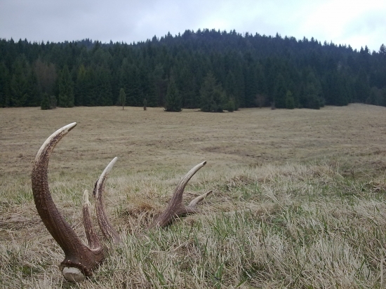 presne po mesiaci para...