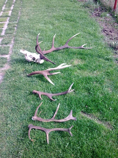 vydarena vychádzka...